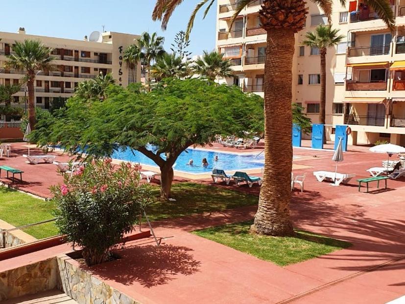 Cristianos Cris Sol Wifi Pool * Los Cristianos (Tenerife)